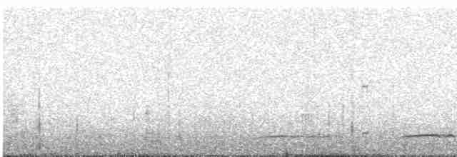 Сичик-горобець андійський - ML618937037