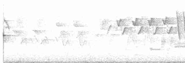 tyranovec vrbový - ML618937102