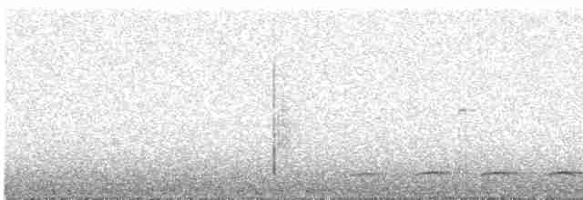 Сичик-горобець андійський - ML618937559