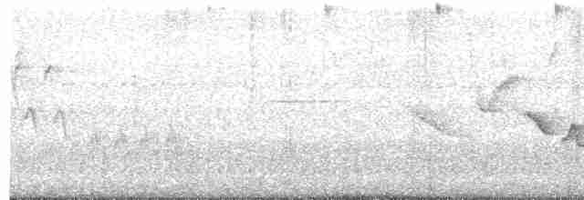 Speckled Hummingbird - ML618938175