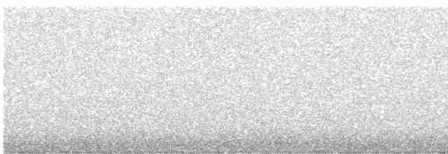 Сова плямиста (підвид caurina) - ML618938534
