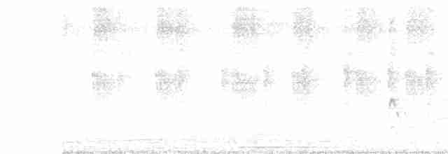 Мухолов-клинодзьоб сірий - ML618938555