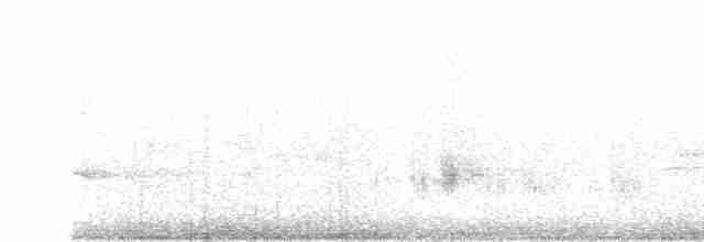 svarthakehonningeter - ML618939371