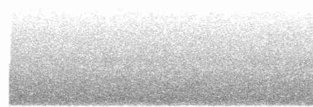 Cerulean Warbler - ML618939815