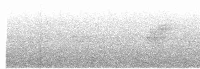 Cerulean Warbler - ML618940293