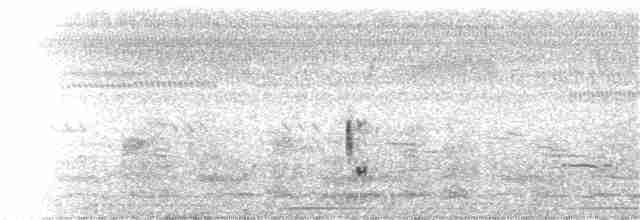 Loggerhead Shrike - ML61894081