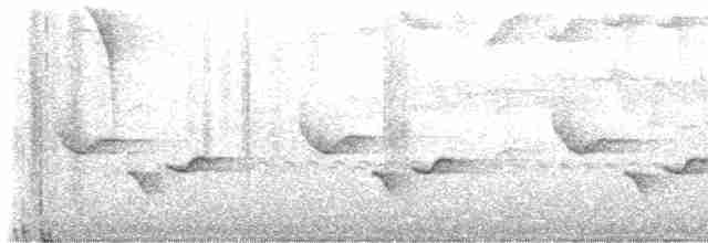 Серогрудый крапивник - ML618941132