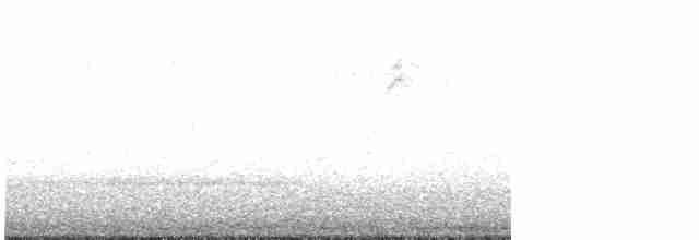 new world warbler sp. - ML618941144