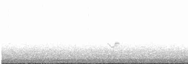 Kara Kanatlı Piranga - ML618941272