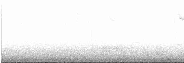 Белогорлая зонотрихия - ML618941444