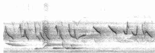 Kestane Karınlı Koca Tohumcul - ML618944168