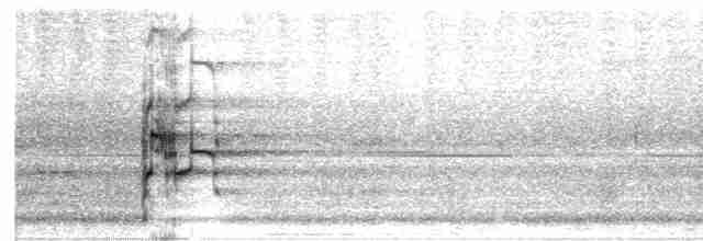 arassari hnědouchý - ML618944239