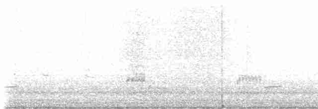 Loggerhead Shrike - ML618944777