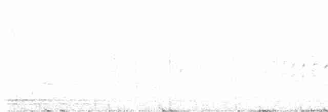 ムナジロアマツバメ - ML618945070