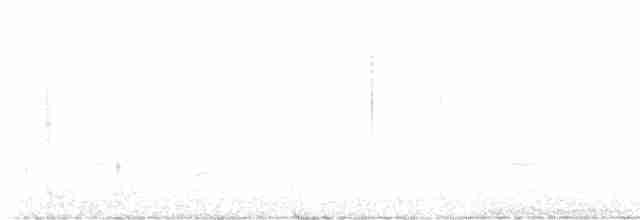rorýs bělohrdlý - ML618945071