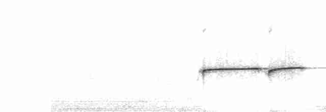 purpurstrupeeufonia - ML618945454