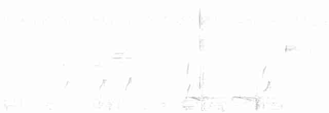 Большеголовый плосконос - ML618946174