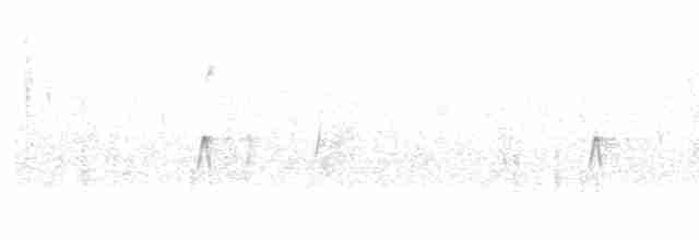 Дрізд-короткодзьоб плямистоволий - ML618946878