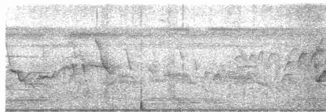 Тиранчик-тонкодзьоб південний - ML618947522