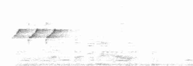 Атласная нектарница - ML618947569