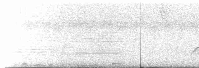 Желтобровый сорокопутовый виреон - ML618948156