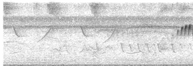 Мухолов-клинодзьоб сірий - ML618948181