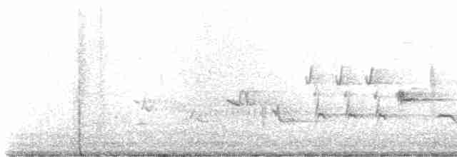 Oriole des vergers - ML618949246
