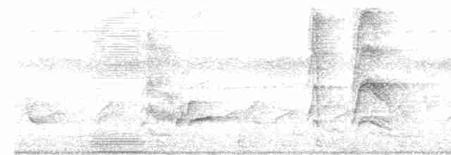Turuncu Başlı Ardıç - ML618949543