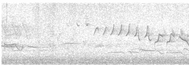 ワキアカツグミ（iliacus） - ML618949686