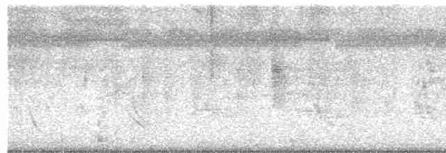 Желтогорлая пищуховая иглохвостка - ML618950822