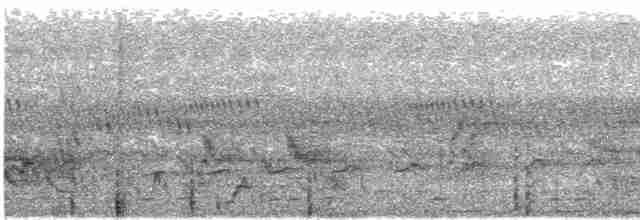 Вилохвостая дронговая кукушка - ML618951002