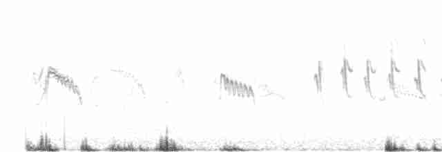 Txoriandre pispoleta mediterraneoa - ML618951148