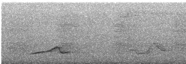 Чагарниця плямистоплеча - ML618951261