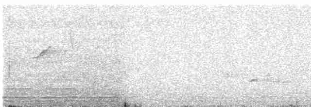 Атласная нектарница - ML618951368