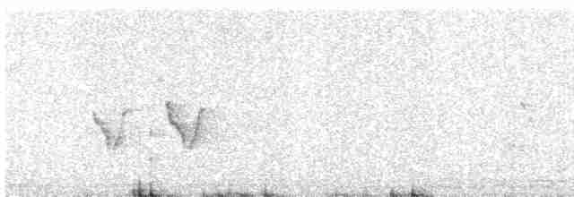 Common Tailorbird - ML618951371