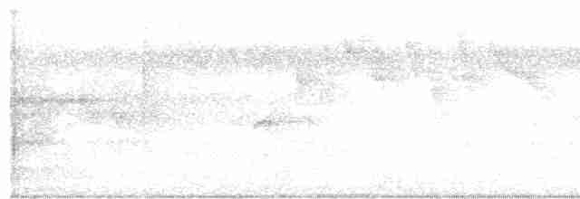 Undulated Tinamou - ML618951830