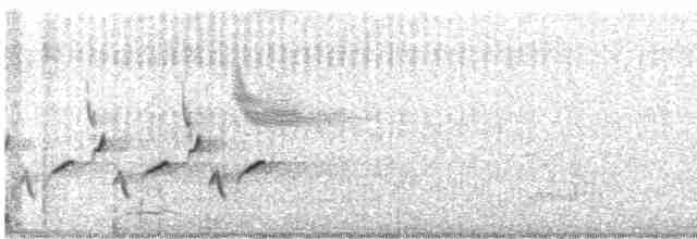 Karolina Çıtkuşu - ML618952107
