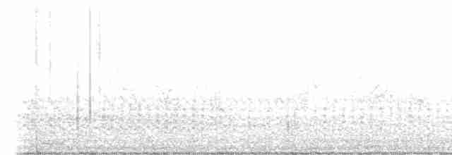 Spotless Crake - ML618952115