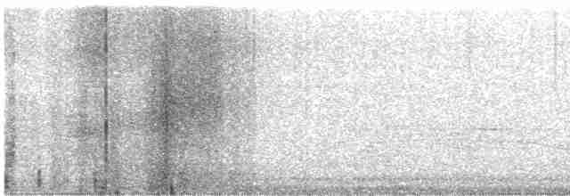 גיבתונית רוננת - ML618952145