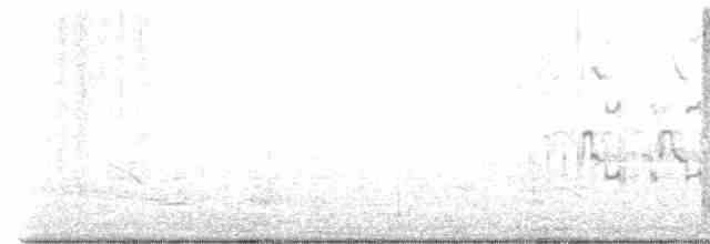 Spotless Crake - ML618952151