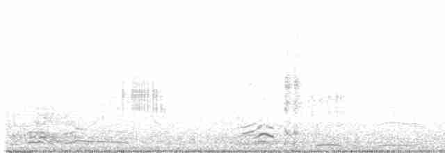 Spotless Crake - ML618952390