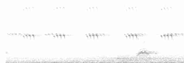Black-crowned Night Heron - ML618952543