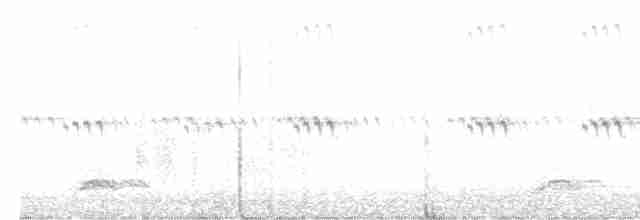 Black-crowned Night Heron - ML618952544