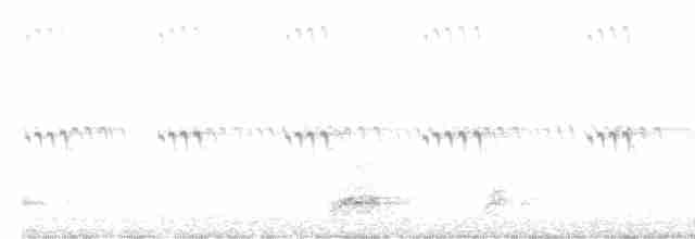 Black-crowned Night Heron - ML618952545