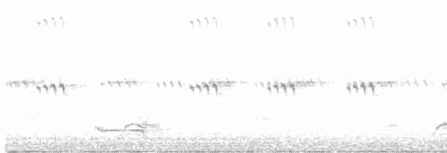 Black-crowned Night Heron - ML618952546