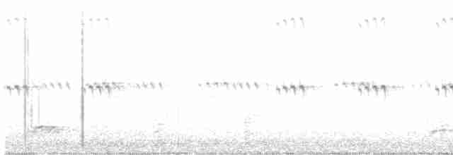 Black-crowned Night Heron - ML618952547