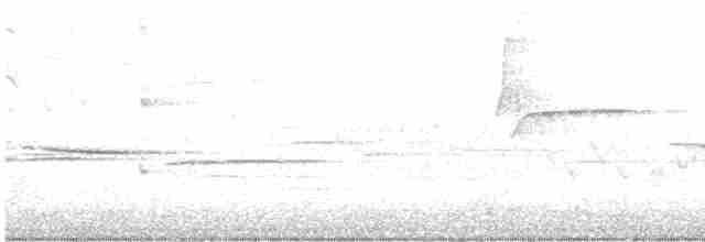 vlhovec hnědohlavý - ML618952841