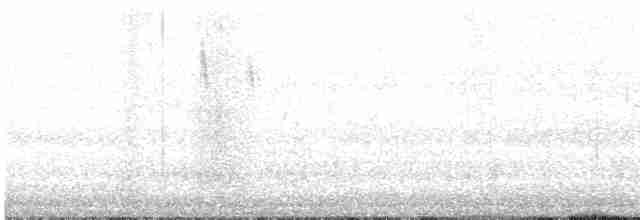 Gray Wagtail - ML618953111
