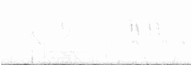 White Wagtail - ML618953132