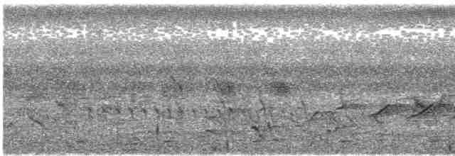 svarthodelarveeter - ML618953594